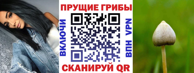 Псилоцибиновые грибы мухоморы Афипский